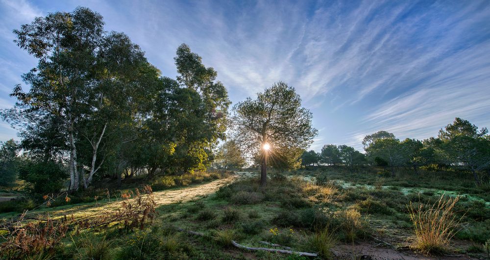 -рождение дня-