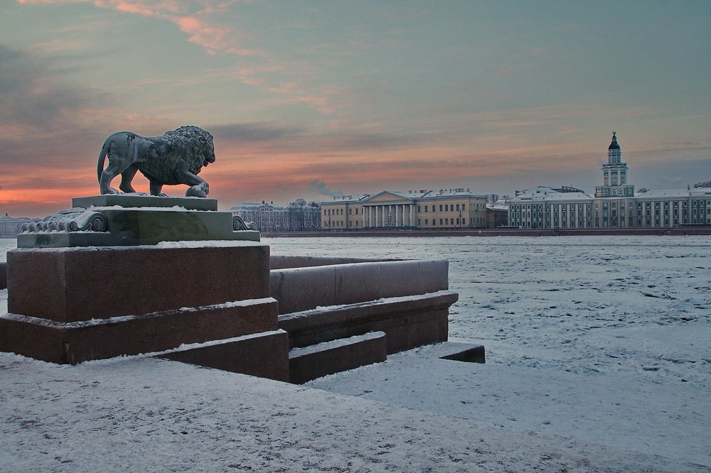 Лев на Дворцовой пристани