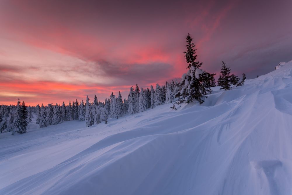 На семи ветрах