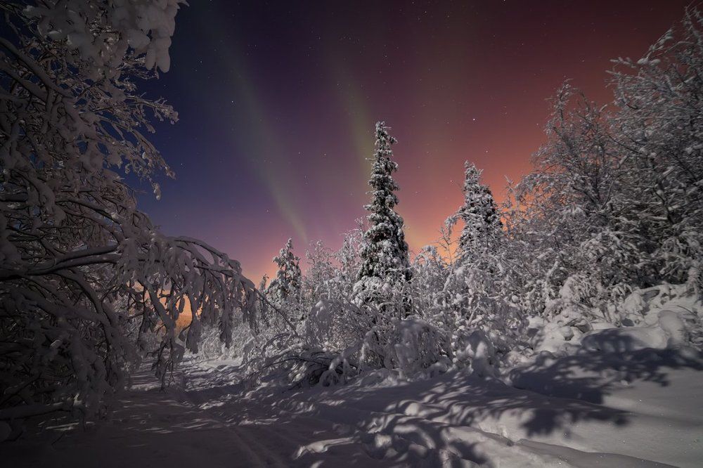 Морозная теплота