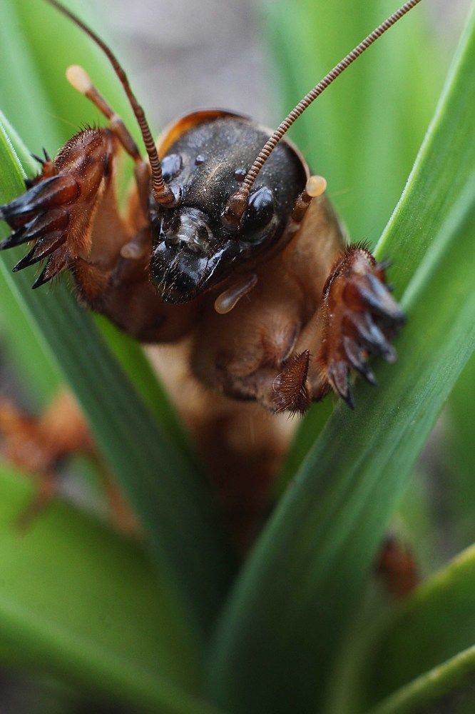 Photograph by Николай