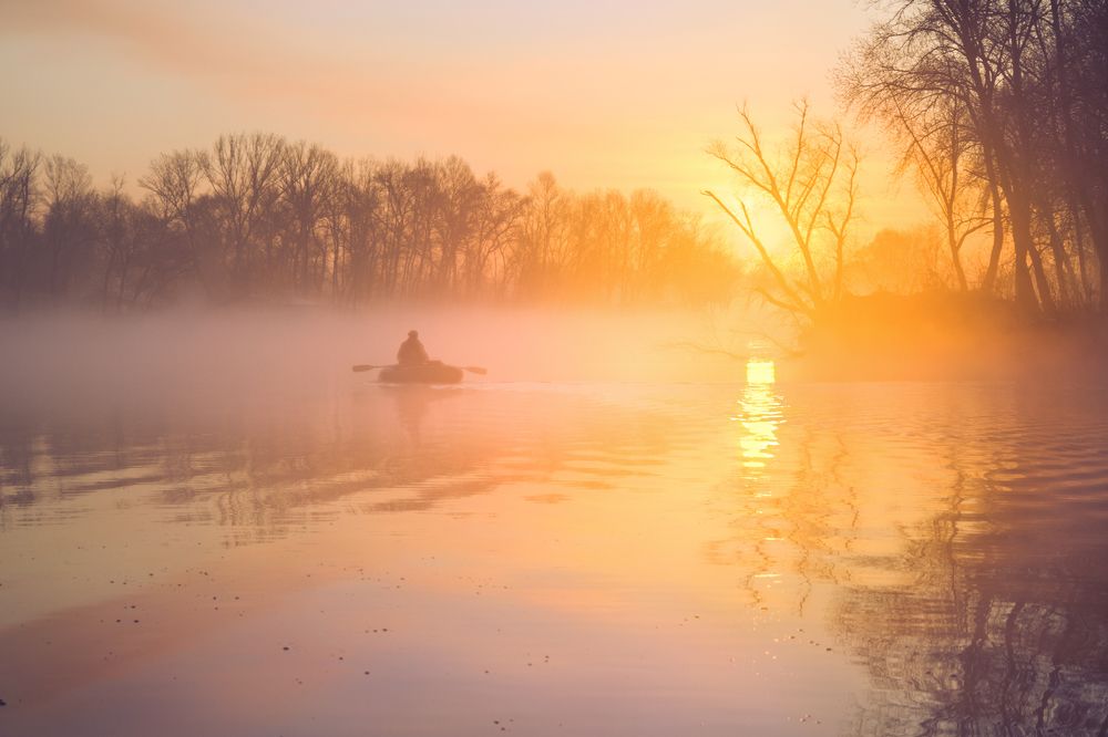 Сквозь солнечный туман