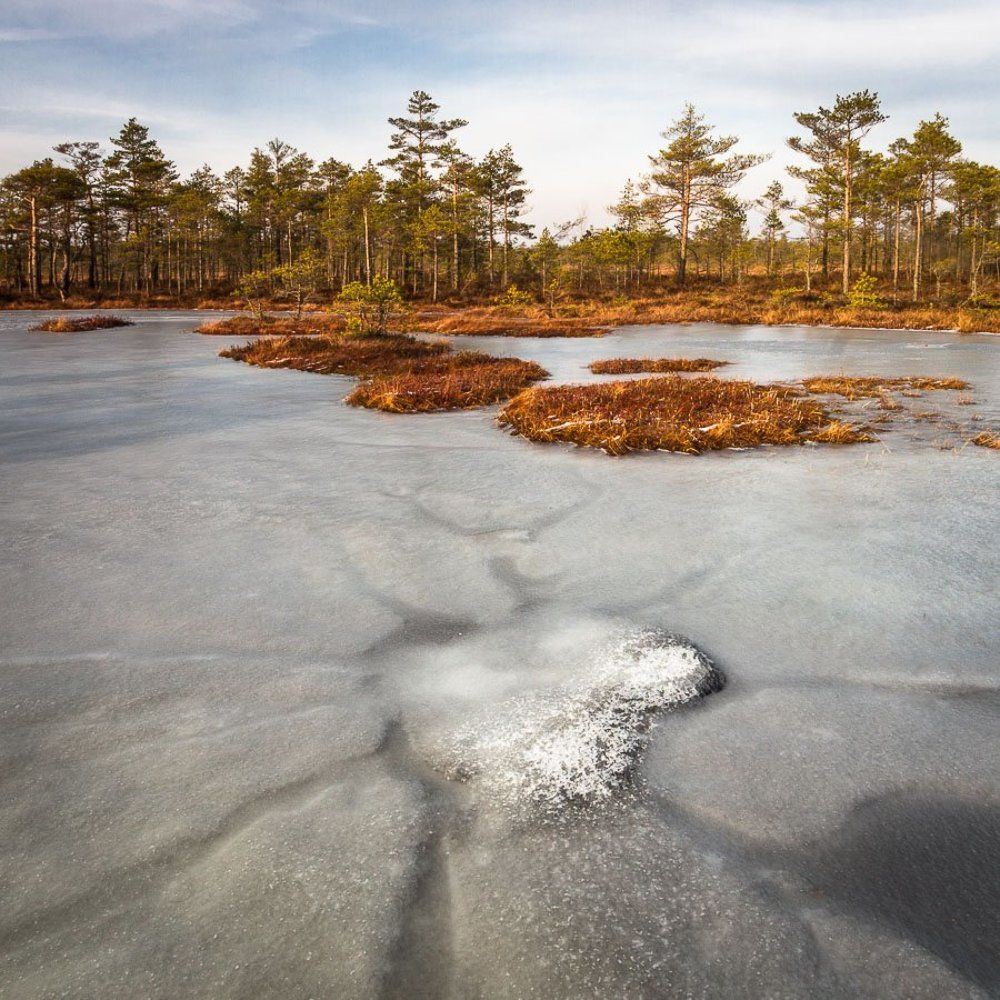 Photograph by Eriks Zilbalodis