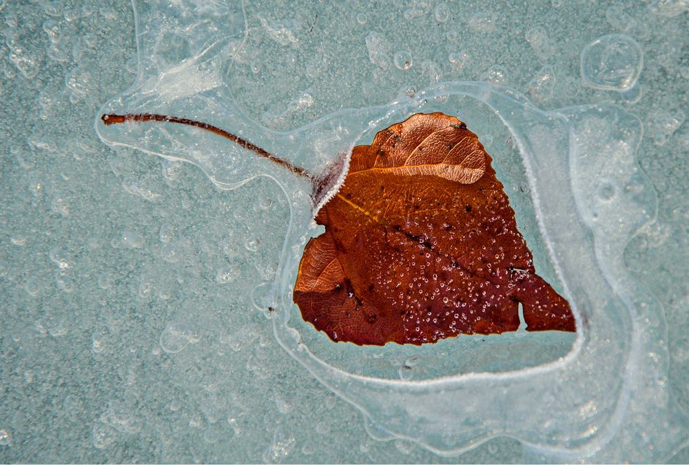 В окошке зимы