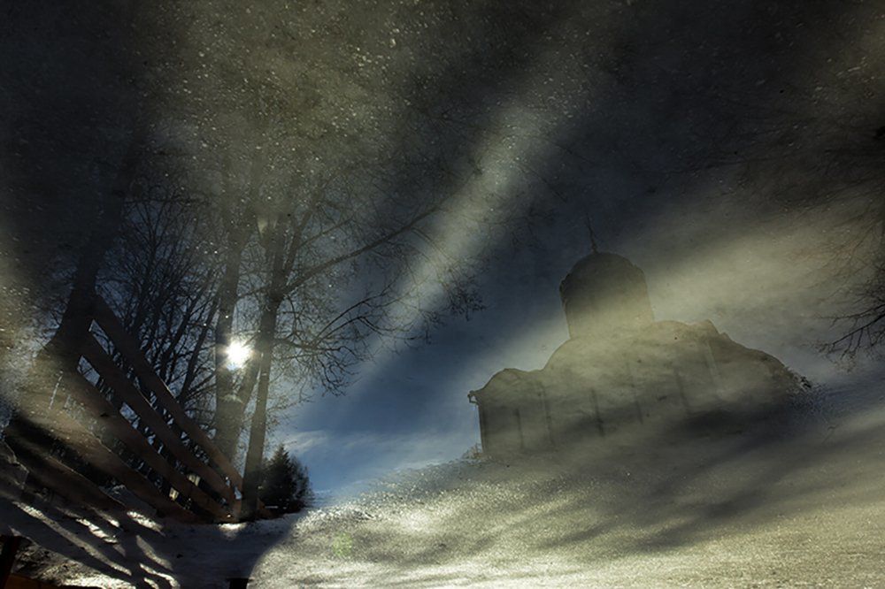 Весенние блики.