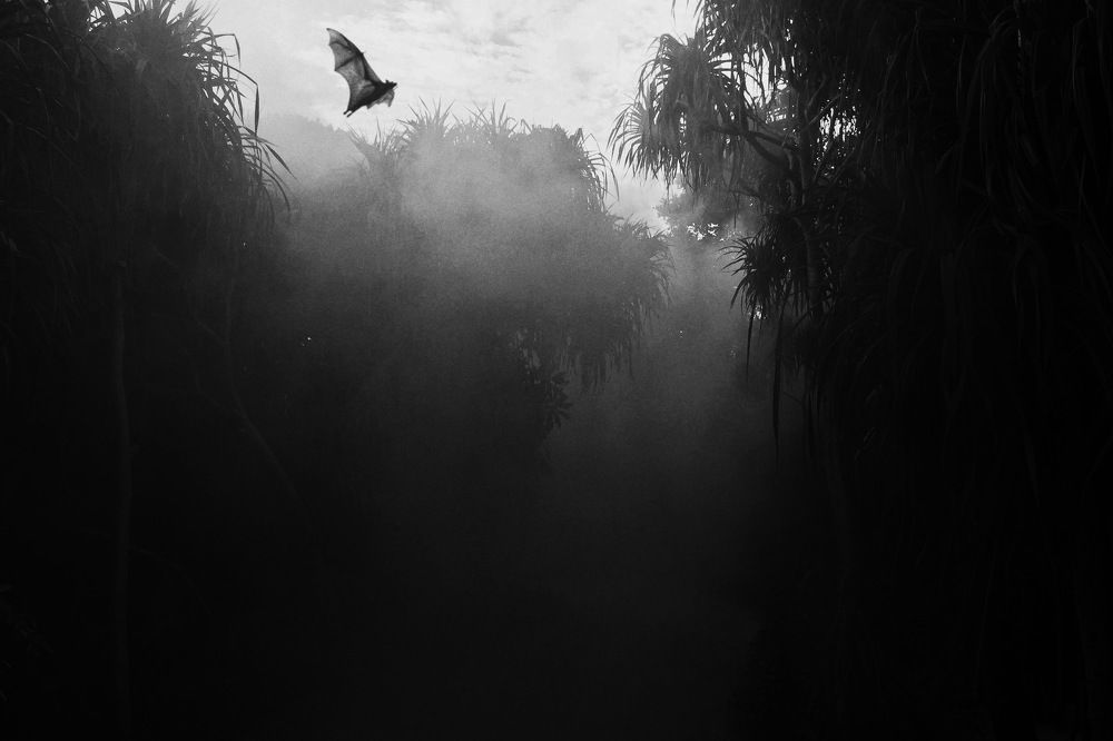 Photograph by Никита