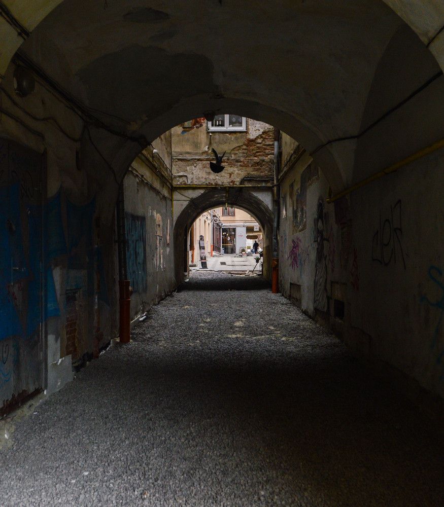 Photograph by Слава Орловский