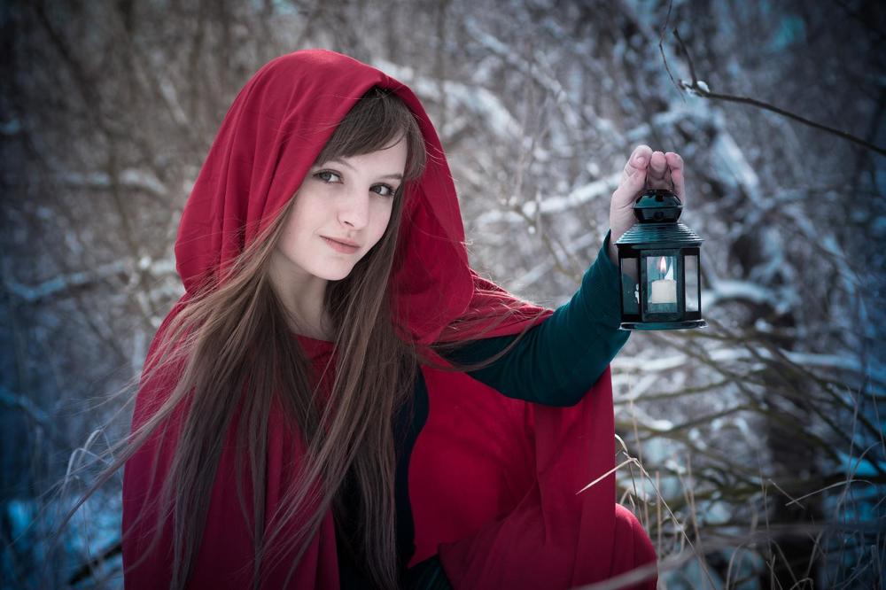 Лесной сумрак