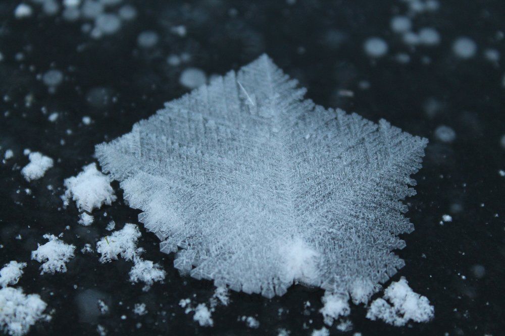 Photograph by Мария Барановская