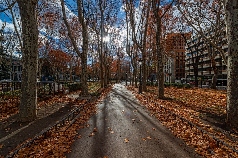 Огненная аллея