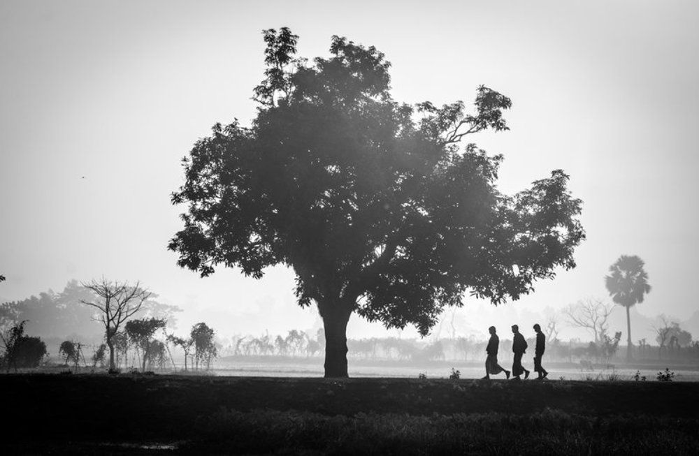 Journey towards hope