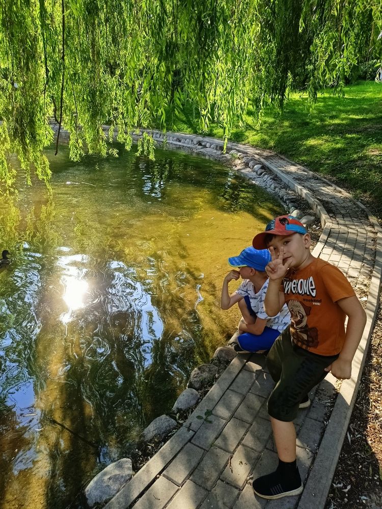 Фотография автора Вероника Пунгина