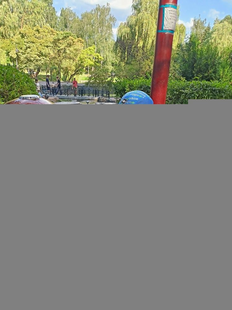 Фотография автора Вероника Пунгина