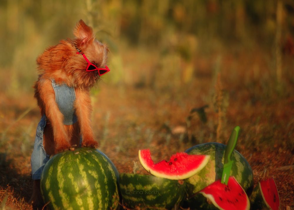 Photograph by Ирина Корх