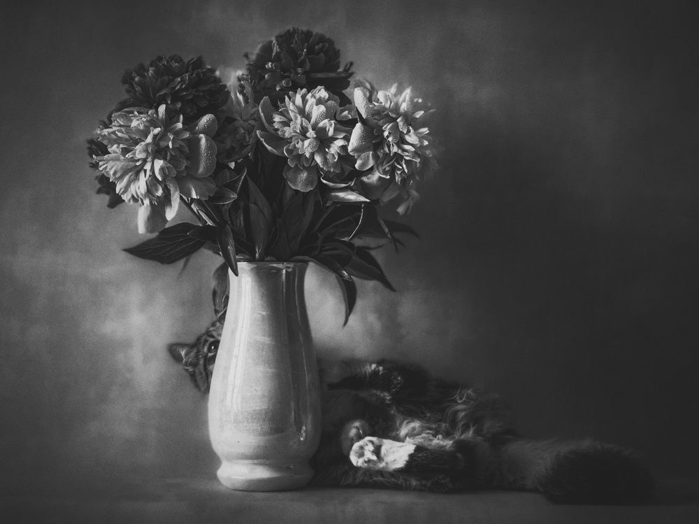 Photograph by Yuliya Karpova