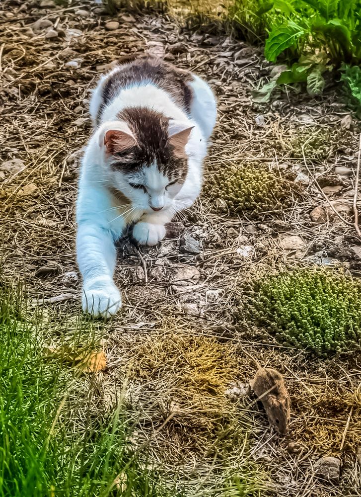 Photograph by Алексей Копылов