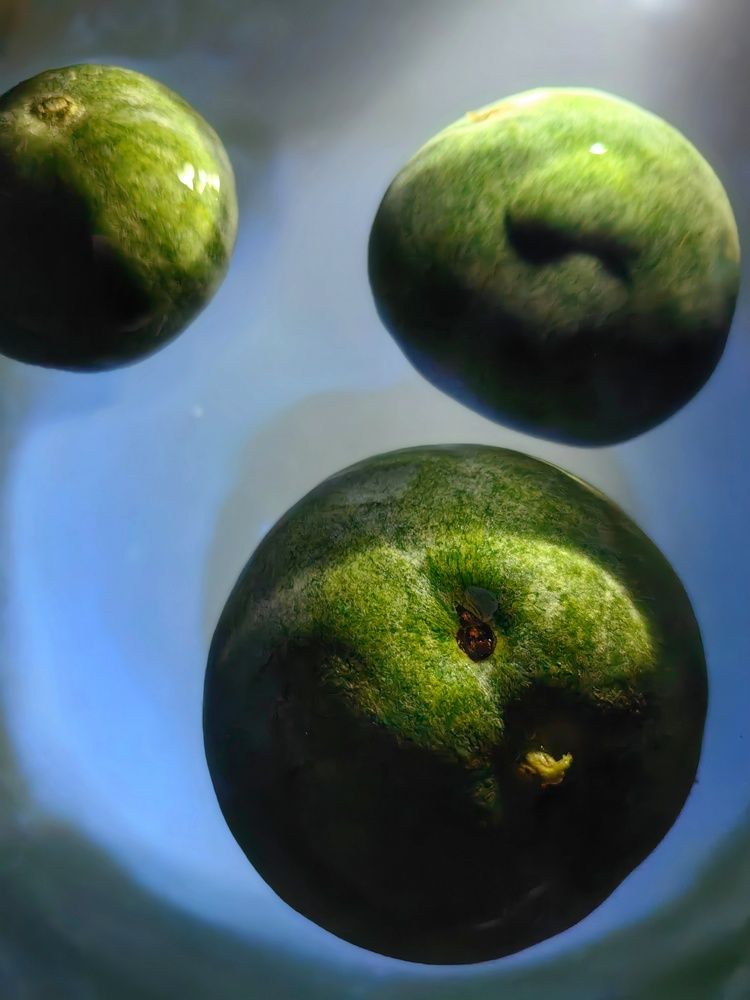 Photograph by OLGA MIKHNEVICH