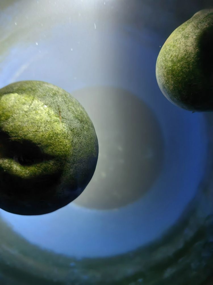 Photograph by OLGA MIKHNEVICH