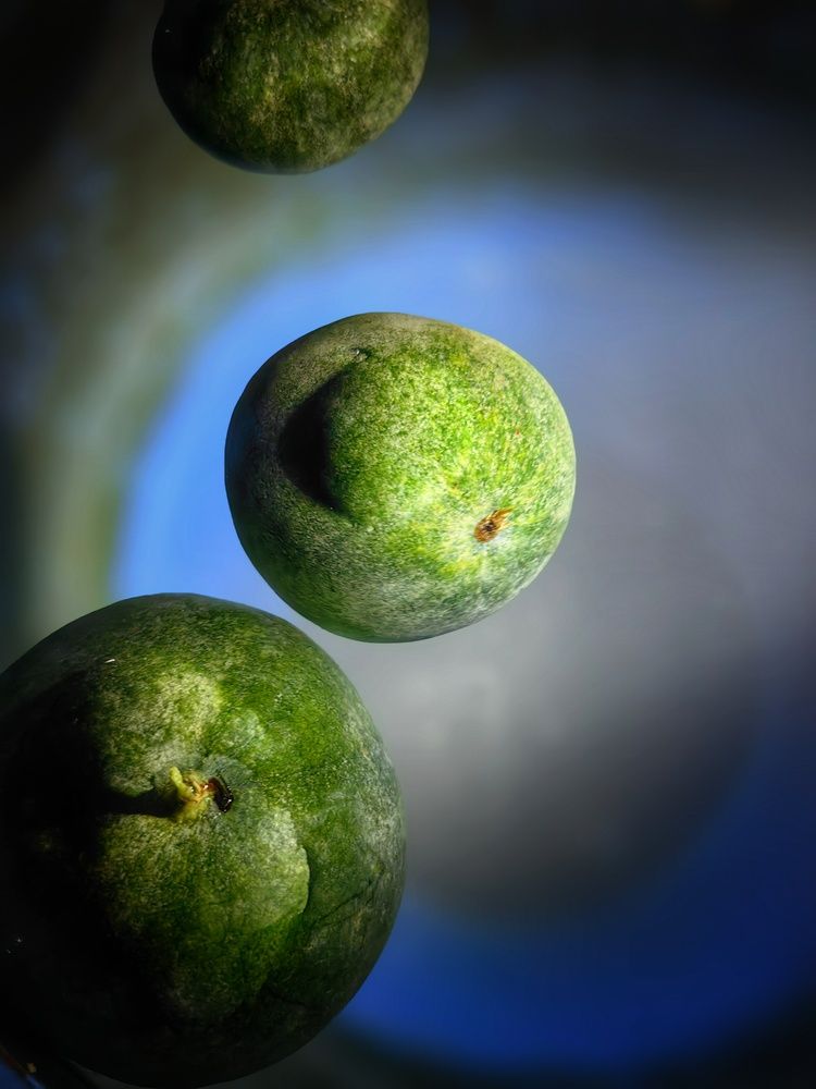 Photograph by OLGA MIKHNEVICH