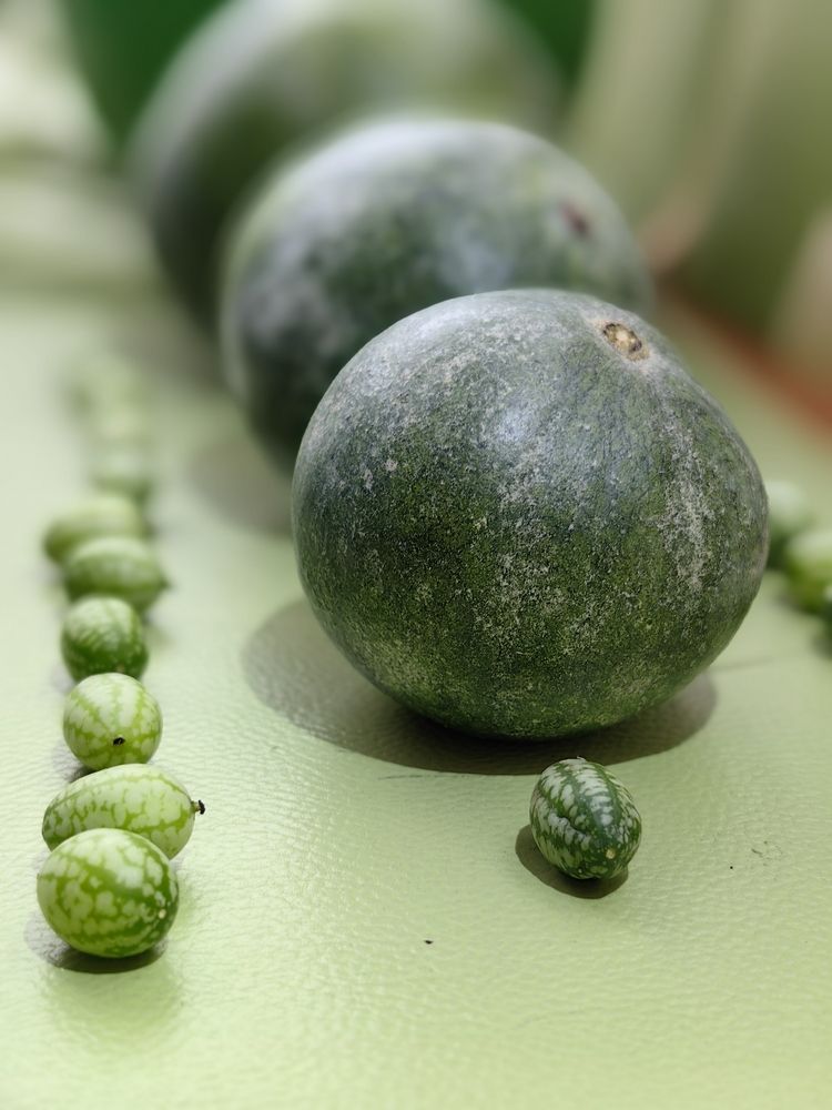 Photograph by OLGA MIKHNEVICH