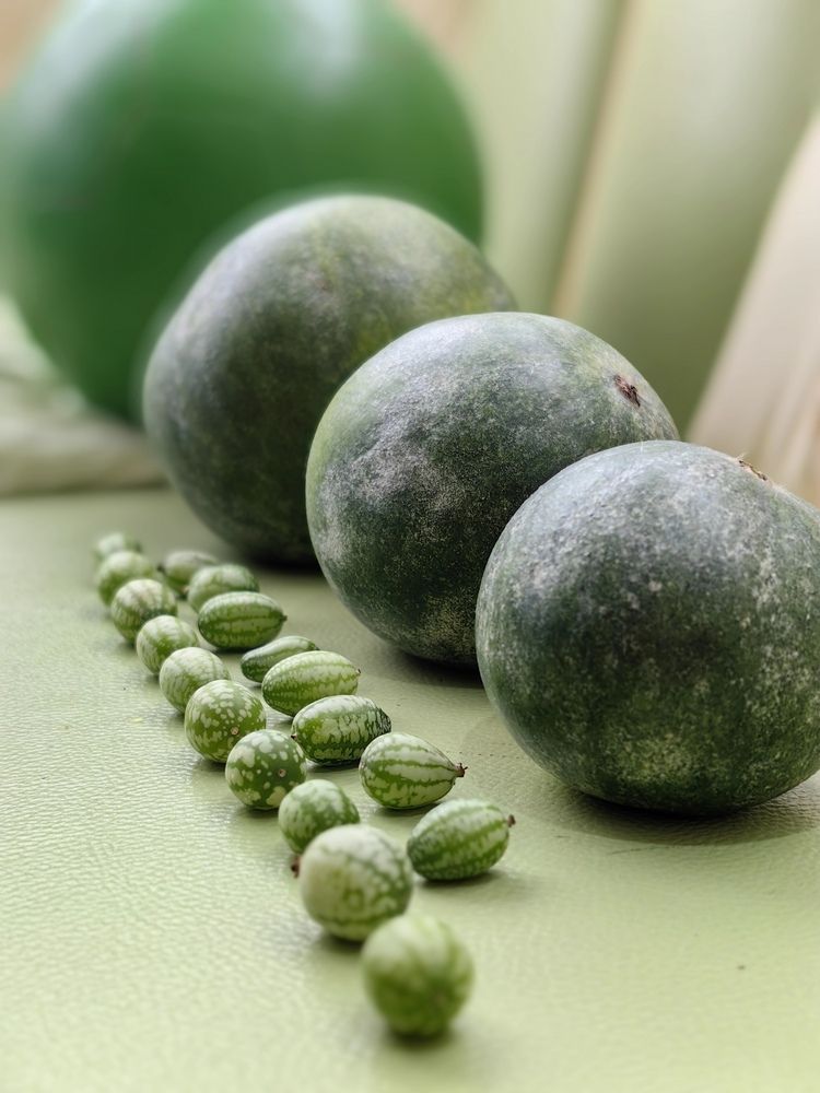 Photograph by OLGA MIKHNEVICH