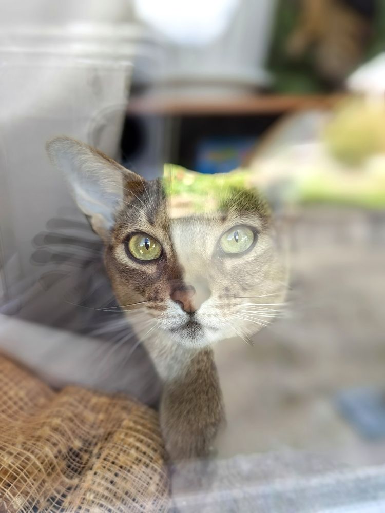 Photograph by OLGA MIKHNEVICH