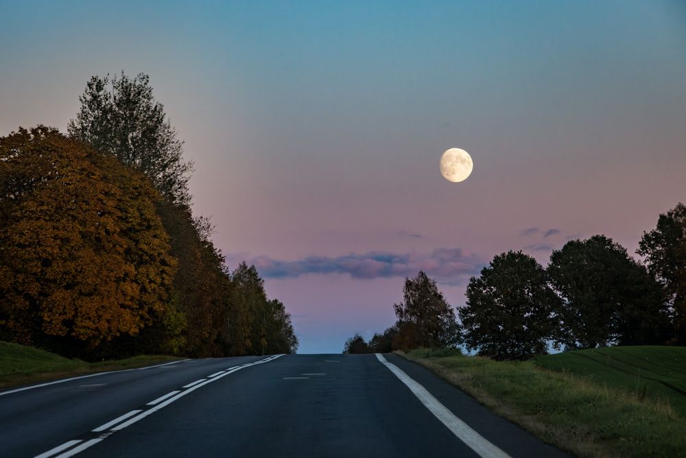 Photograph by Ineta Osipoviča