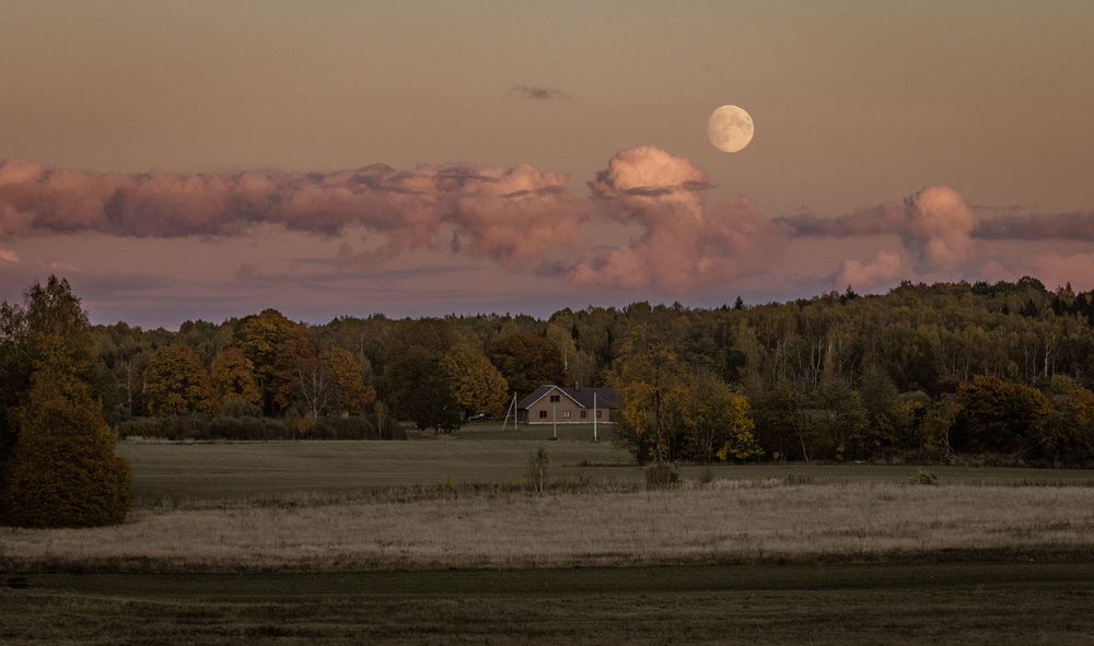 Photograph by Ineta Osipoviča
