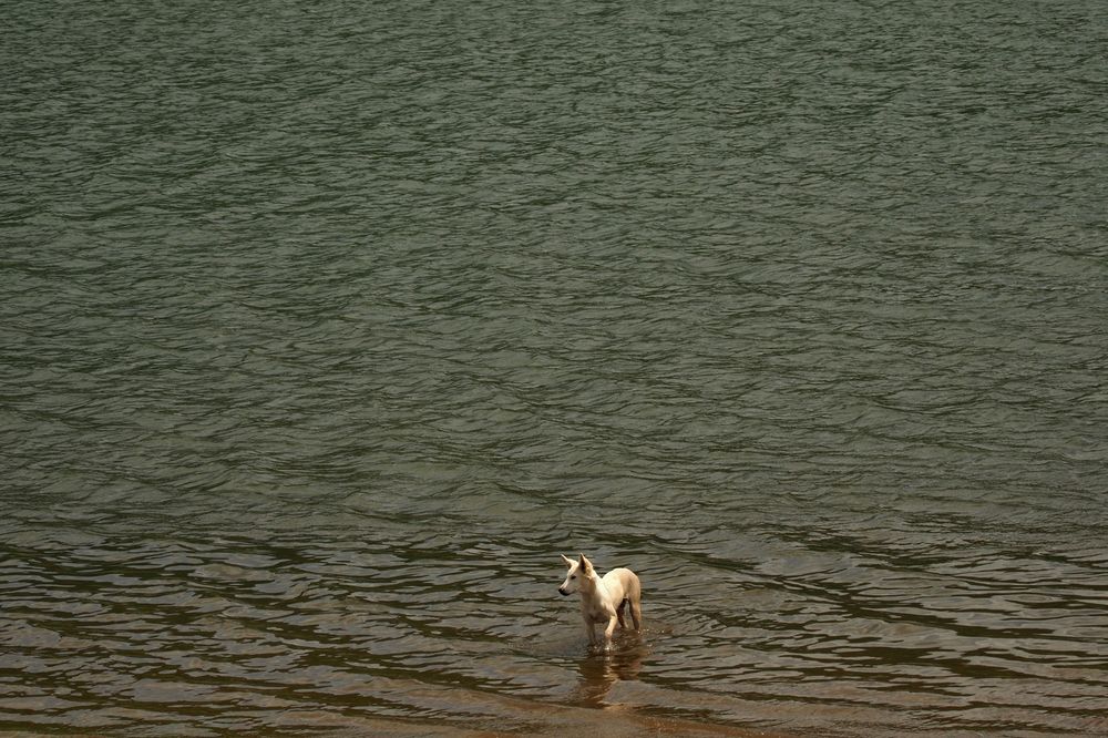 Фотография автора NARAYAN PATEL