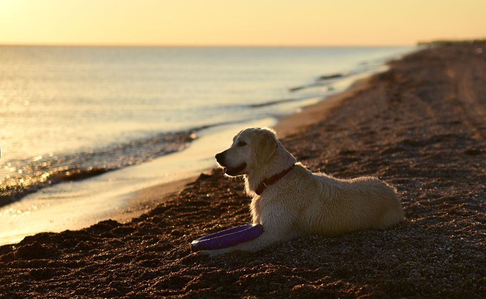 Photograph by наталья залогина