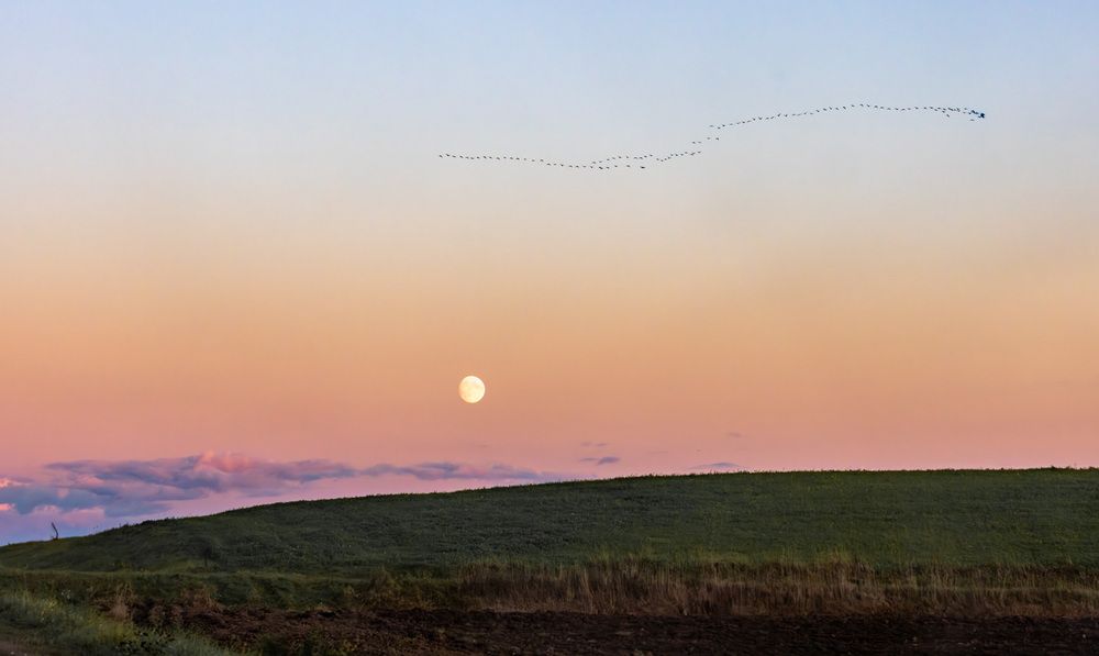 Photograph by Ineta Osipoviča