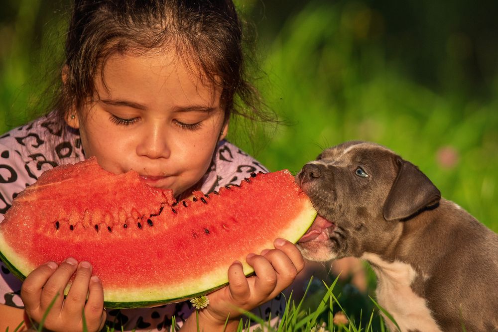 Photograph by наталья залогина