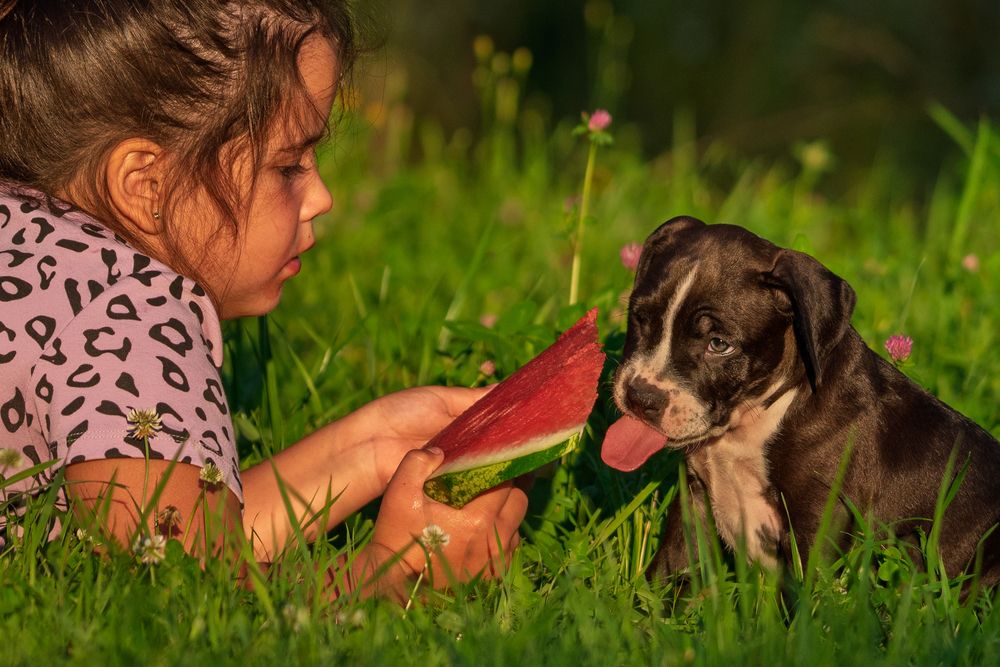 Photograph by наталья залогина