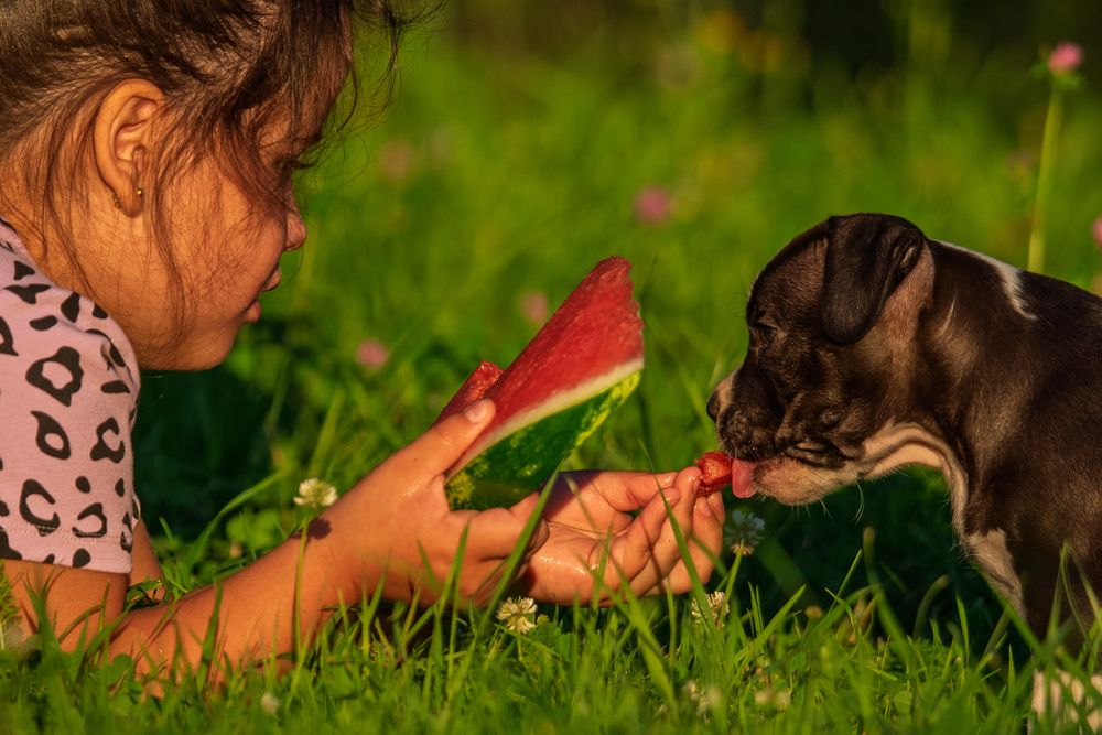 Photograph by наталья залогина