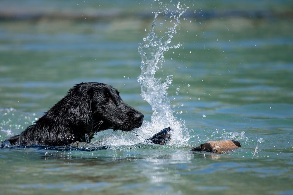 Photograph by Maria Antich