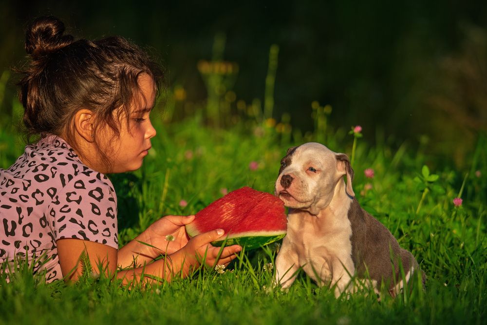 Photograph by наталья залогина