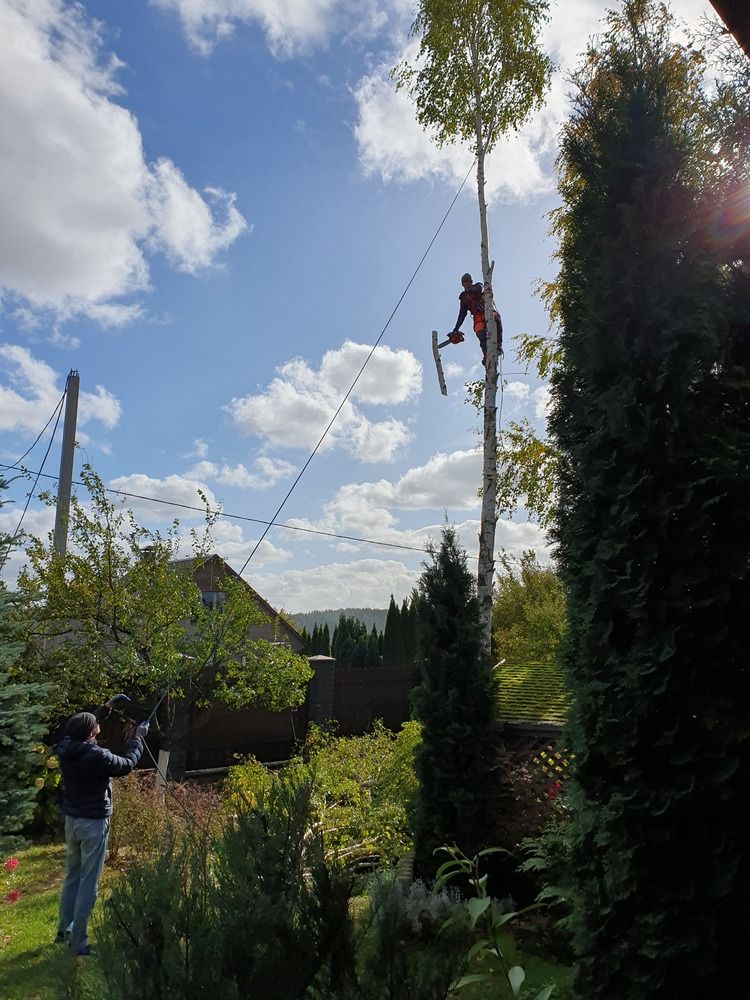 Photograph by Ольга Евтухова