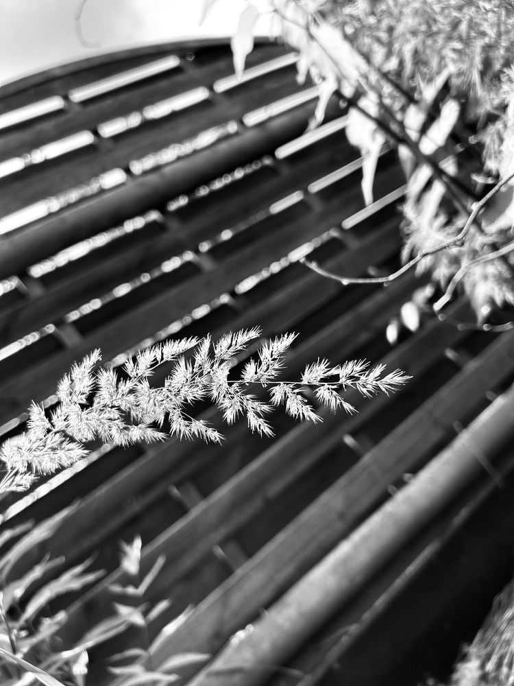 Photograph by Ольга Евтухова