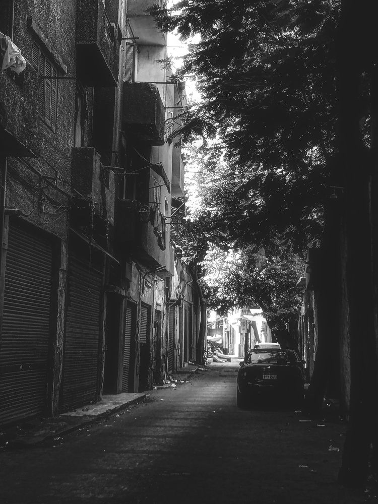 Photograph by Youssef Ebrahim Desoky