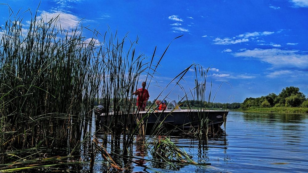 Photograph by Сергей Синьков