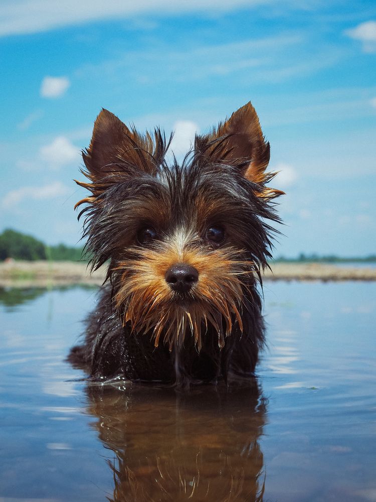 Photograph by Виктория Матушкина