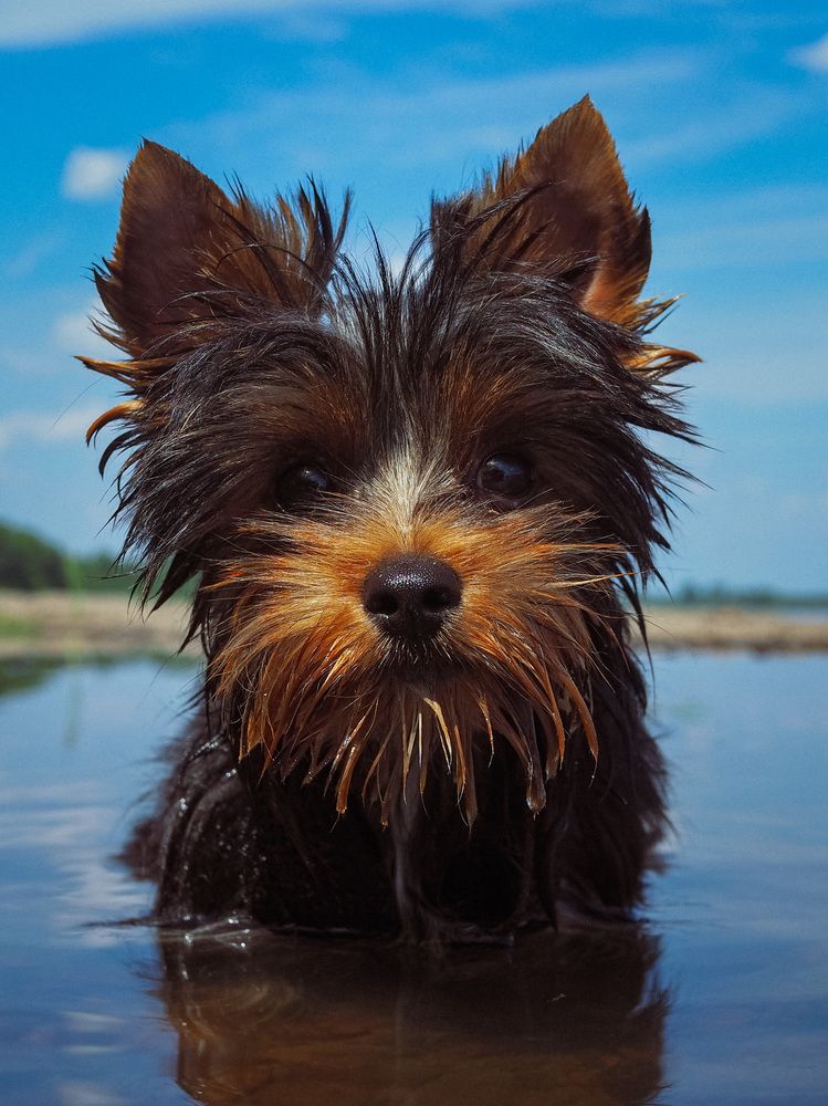 Photograph by Виктория Матушкина