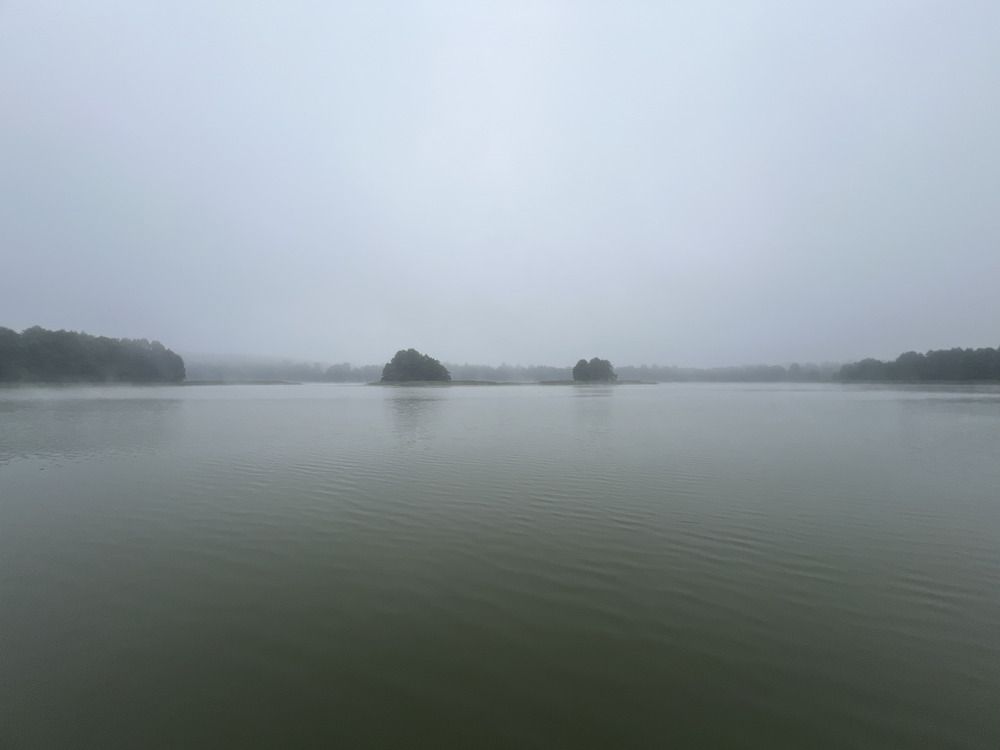 Photograph by Наталия Зиченкова