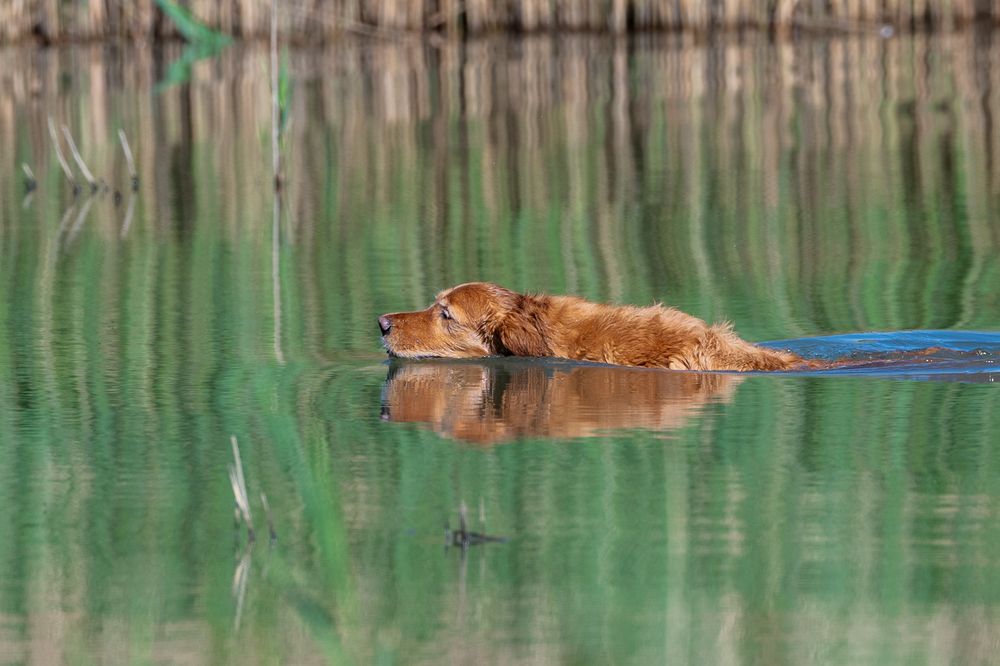 Photograph by Maria Antich