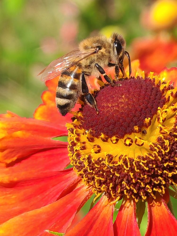 Photograph by Ольга Хромова