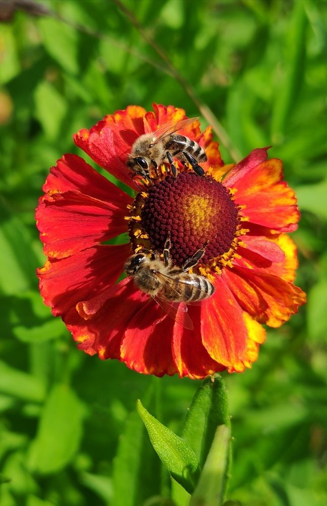 Photograph by Ольга Хромова