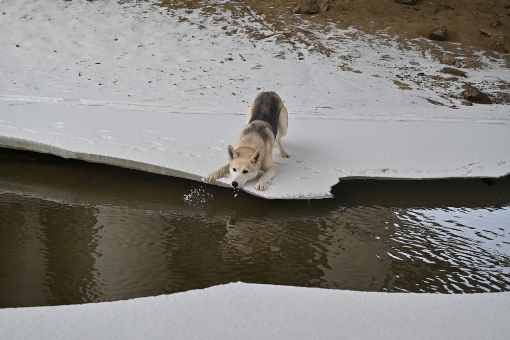 Фотография автора IRINA FILIPPOVA