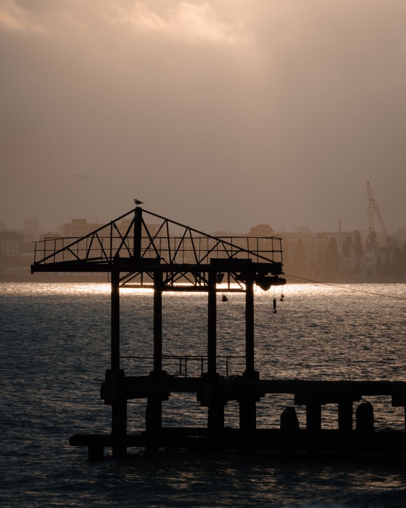 Photograph by Aleksey Rukin