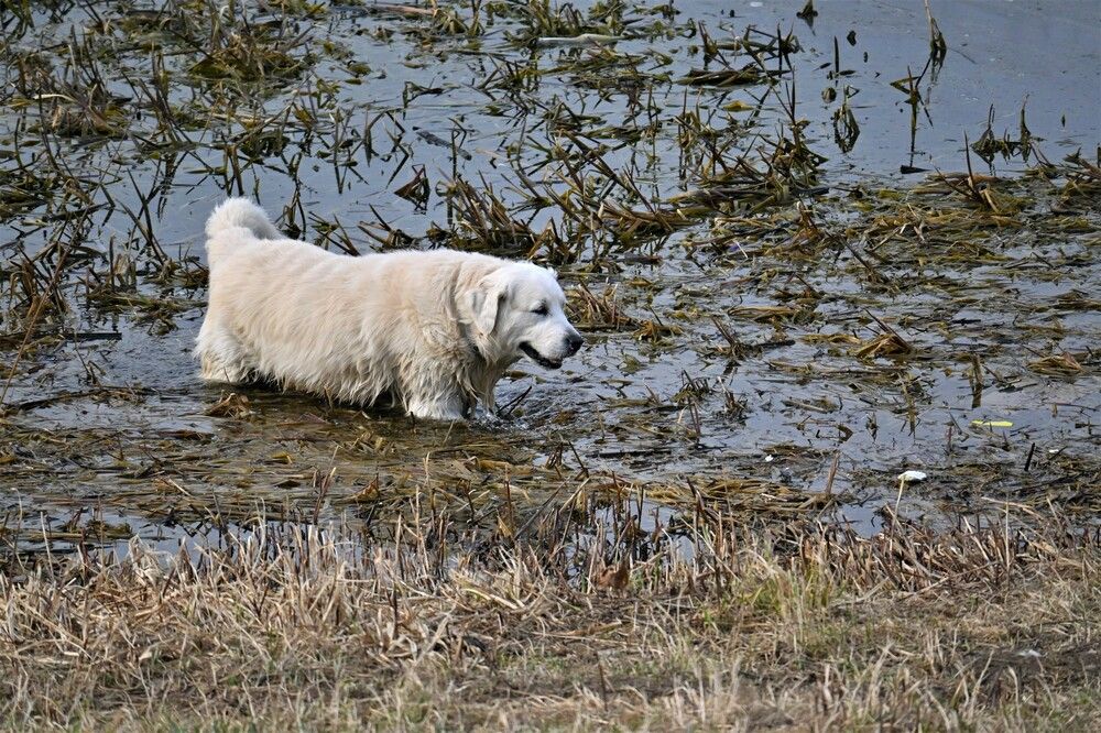 Фотография автора IRINA FILIPPOVA