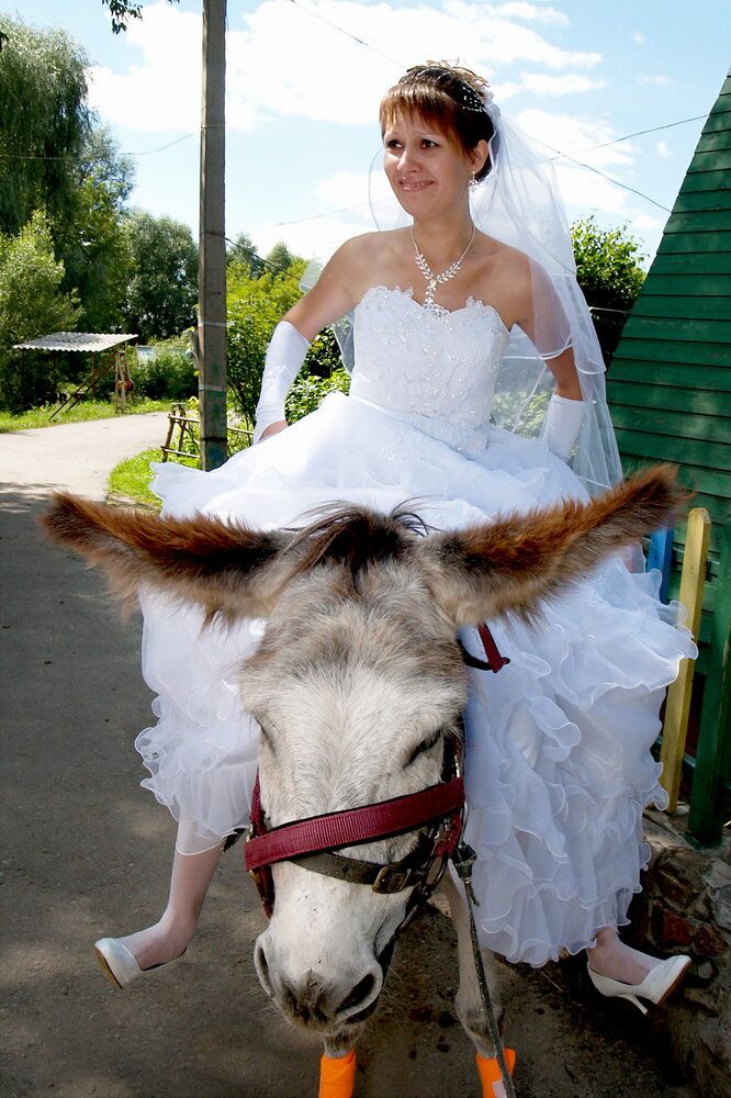 Нашла себе осла!